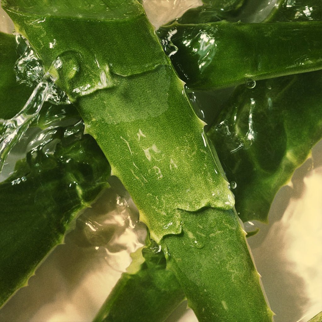 Fresh from New Delhi to Your Fridge: Buying Skincare Online - NB by Ritu Walia